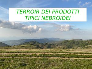 Presentazione Nebrodi Ppt
