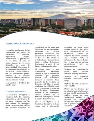 Division De La Estadistica