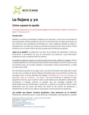 017 La Flojera Y Yo