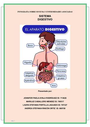 sistema digestivo, informe laboratorio