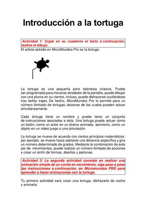 Primera Animación En Micromundo Pro