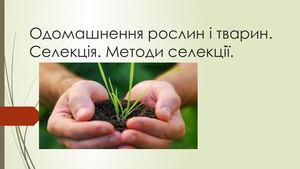 Поняття про селекцію Введення в культуру рослин Одомашнення тварин