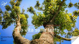 La Vita Sulla Terra