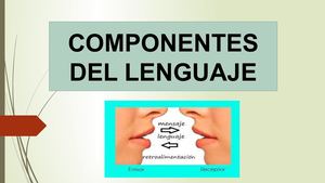 Componentes Del Lenguaje