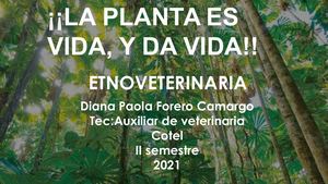 Etnoveterinaria Actual Paola