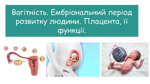 Вагітність Ембріональний період розвитку людини Плацента, її функції