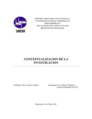Conceptualizacion De La Investigacion