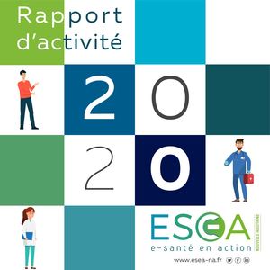 Rapport Activité GIP ESEA 2020
