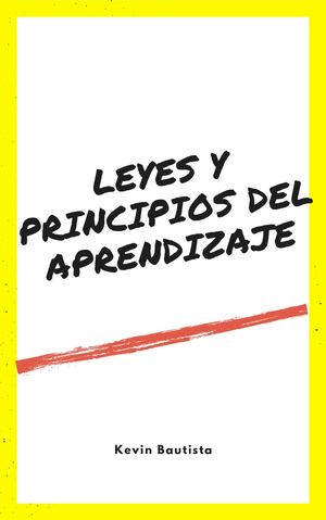 libro leyes y principio del aprendizaje