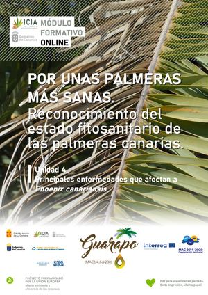 UNIDAD 4. Por unas palmeras más sanas. Reconocimiento del estado fitosanitario de las palmeras canarias.