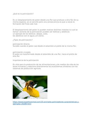 Qué Es La Polinización