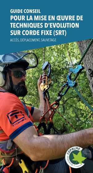 Guide Conseil Srt 22avril21 Calameo