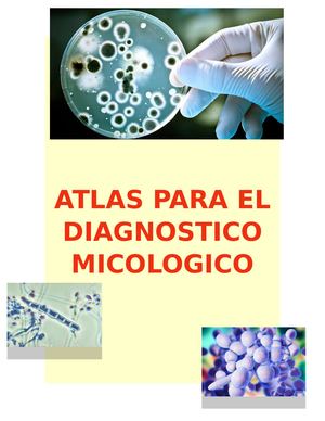Atlas Para El Diagnostico Micologico Term