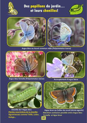 Livret ABC Lestrem Pages 68 à 82