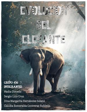 Evolucion