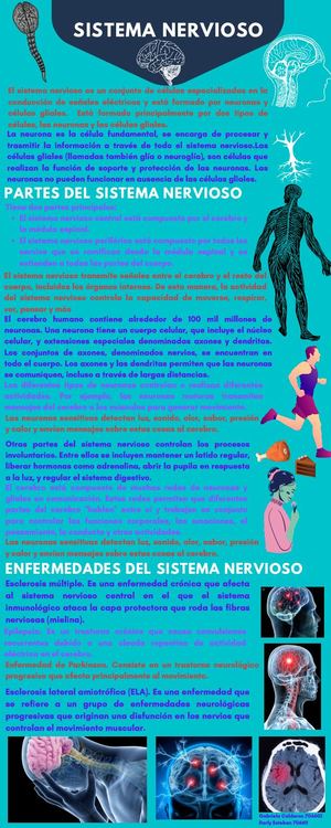 Azul Oscuro Y Naranja Vector Bonito Proceso Infografía (1)