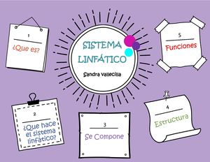 SISTEMAS TEGUMENTARIO Y LINFÁTICO