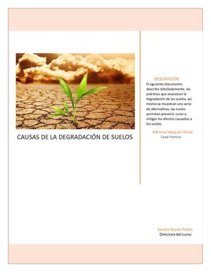 CAUSAS DE LA DEGRADACIÓN DE SUELOS Y ALTERNATIVAS PARA SU RESTAURACIÓN