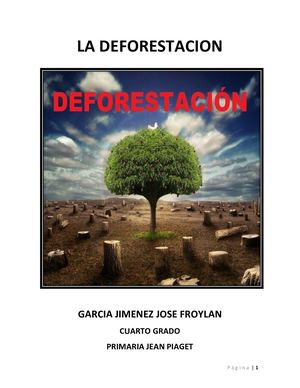 La Deforestacion