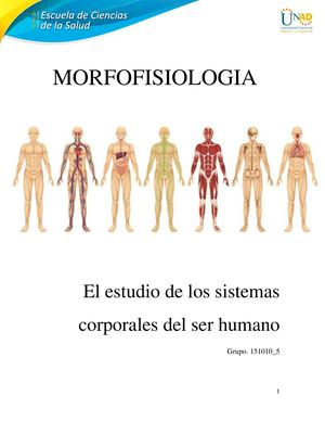 Sistemas Corporales Grupo 151010_5