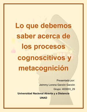 Cartilla Procesos Cognocsitivos Y Procesos Ejecutivos Jeimmy Garzon