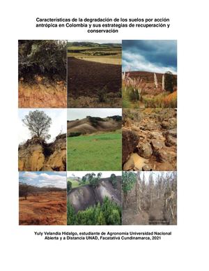 Características De La Degradación De Los Suelos Por Acción Antrópica En Colombia Y Sus Estrategias De Recuperación Y Conservación