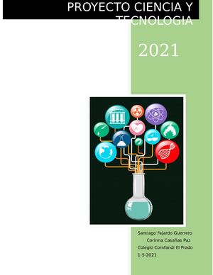 Corinna Casañas Santiago Fajardo Proyecto Cyt Fase1