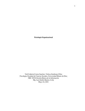 Psicologia Organizacional