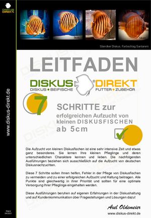 7 Schritte Zur erfolgreichen Aufzucht Von Diskusfischen