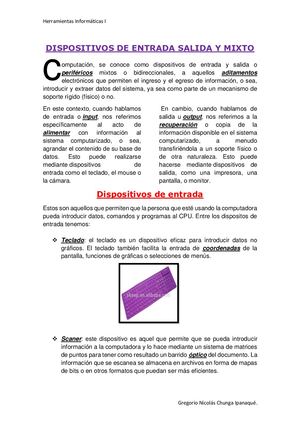 Dispositivos De Entrada Salida Y Mixto 01