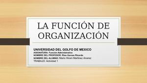 La Función De Organización Ugm