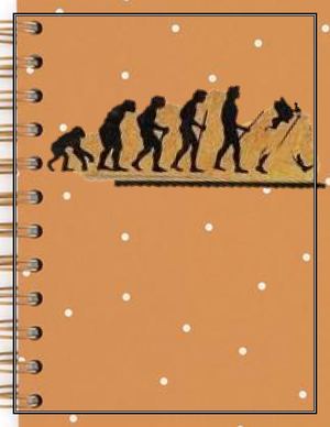 Cuaderno De Historia Ii Bimestre