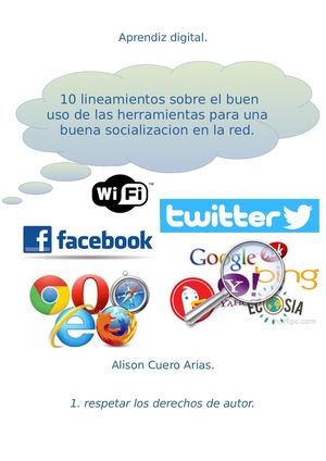 10 Lineamientos para la buena socializacion en la red.