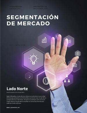 Segmentación De Mercado