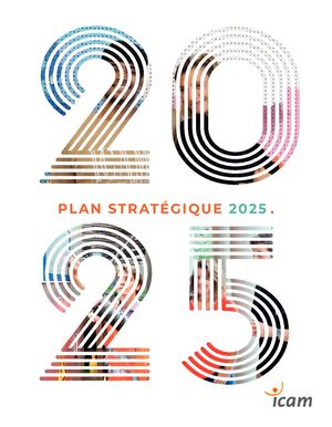 Icam Plan Strategique 2025 FR