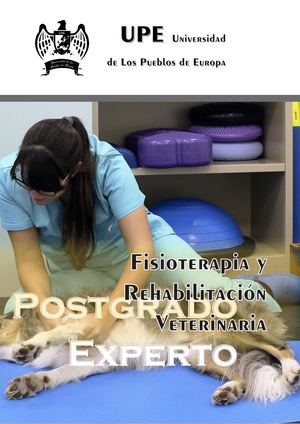 Postgrado en Fisioterapia Veterinaria