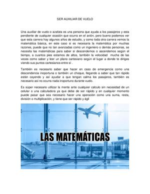 SER AUXILIAR DE VUELO