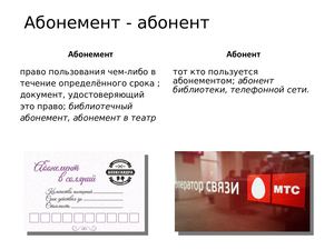 Словарь паронимов