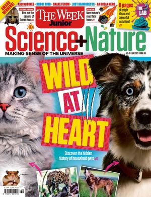 Calameo Science And Nature Issue 36 Calameo Science And Nature Issue 36