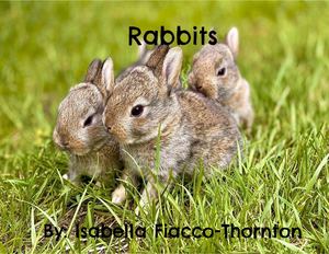 Isabella Fiacco Thornton - 2nd Grade Nonfiction Book Project FINAL COPY