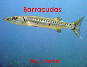 Jason Arcuri - 2nd Grade Nonfiction Book Project FINAL COPY