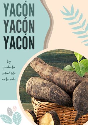 Yacón