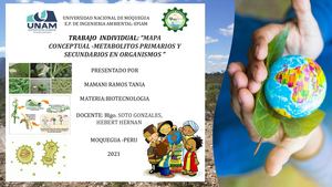 Metabolitos Primarios Y Secundarios En Organismos Biotecnologia