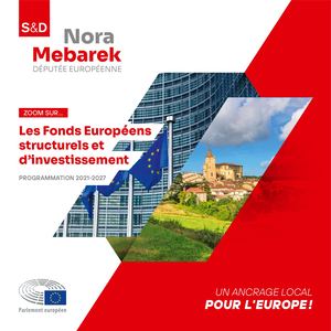 Nora Mebarek - Brochure FESI