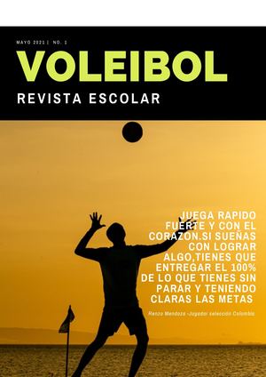Voleibol