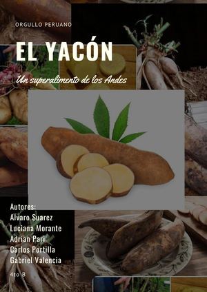 Proyecto Bicentenario - Superalimento, Yacón