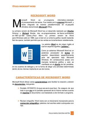 Microsoft Word