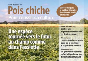Semences de Provence - Pois chiche 2021