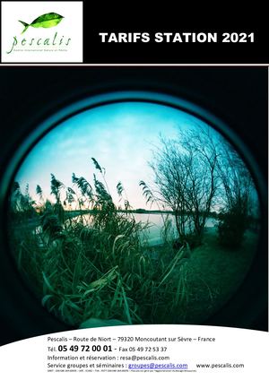 Tarifs Station 2021 Sans Aquarium V2