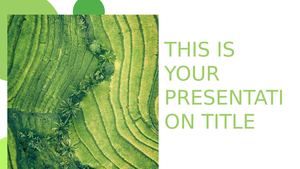 Solanio · Slides Carnival